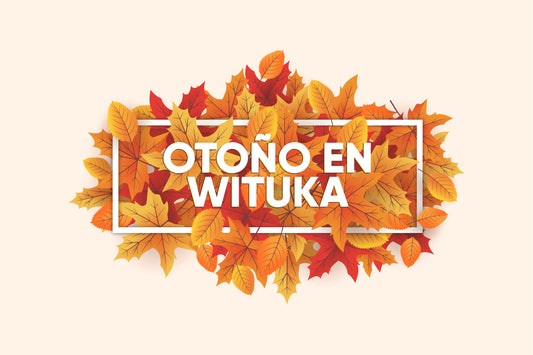 Nueva estación en Wituka