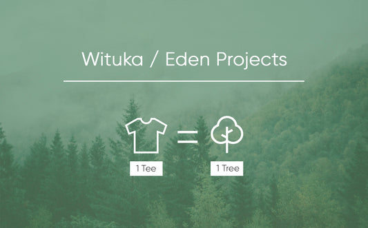 Nuestro proyecto de reforestación 🌳