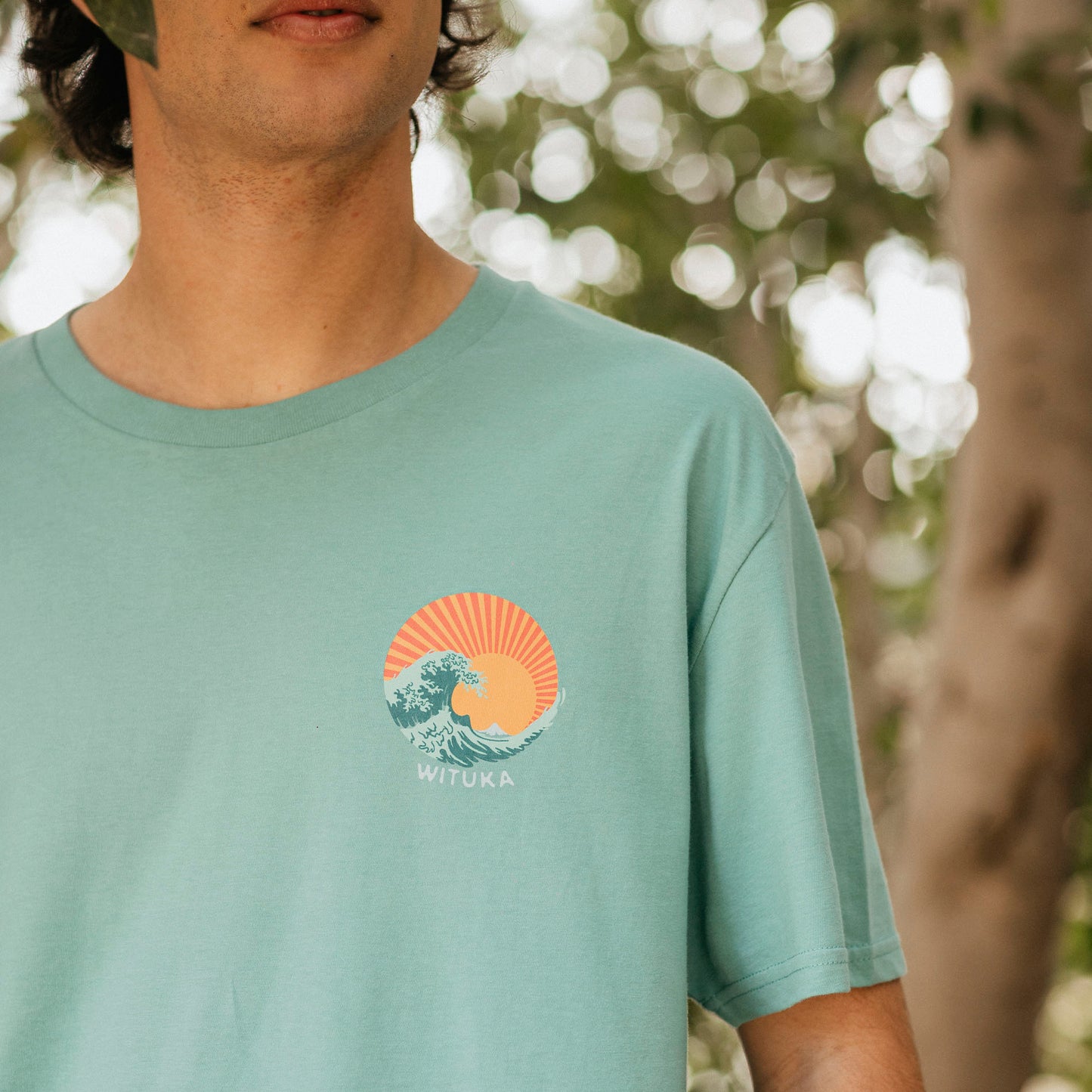 Teal Monstera