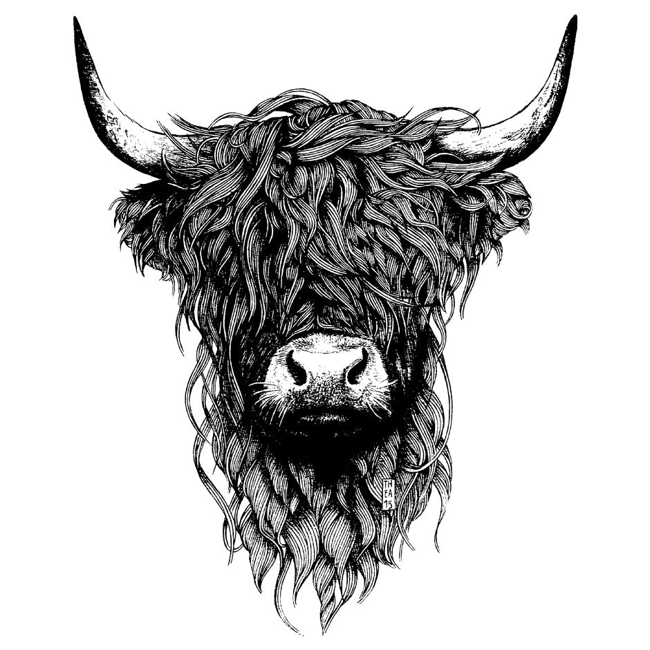 Highland Cattle - Wituka