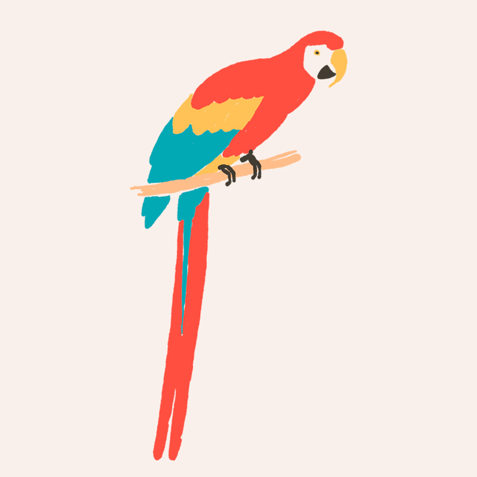 Parrot