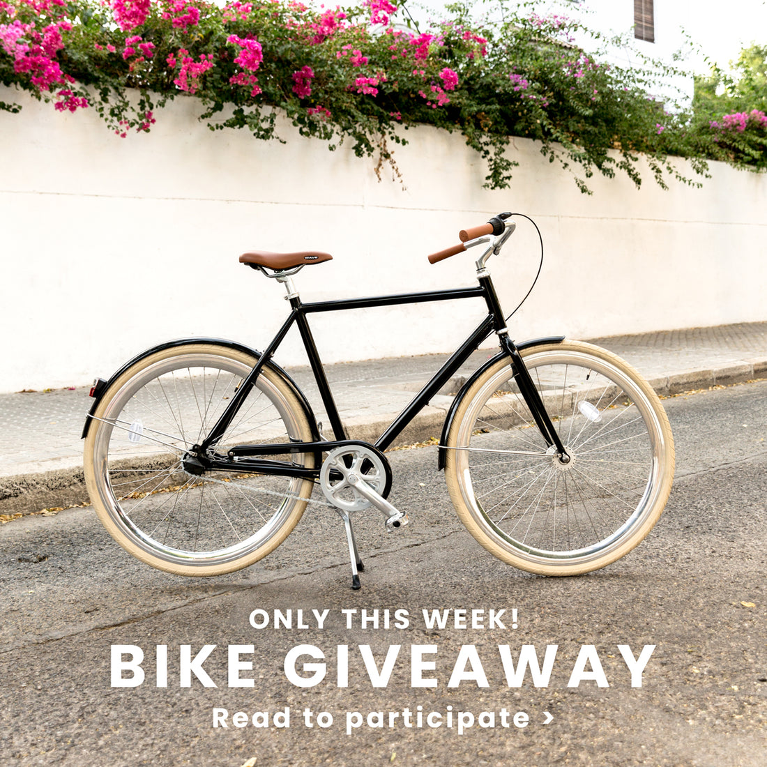 BICYCLE GIVEAWAY! 🎉