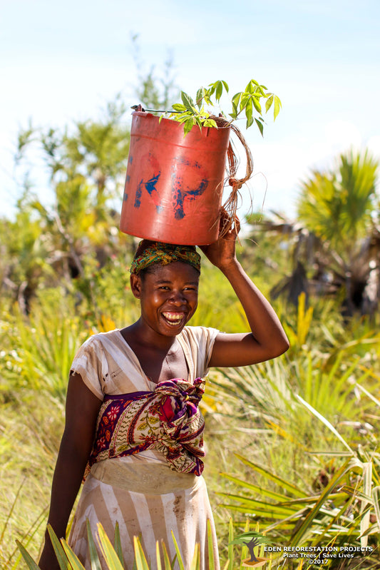 1 TEE = 1 TREE.  Juntos por un mundo más verde.