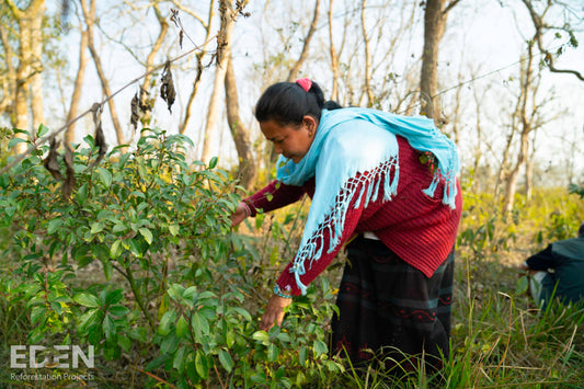 El pueblo de Nepal florece 🌱