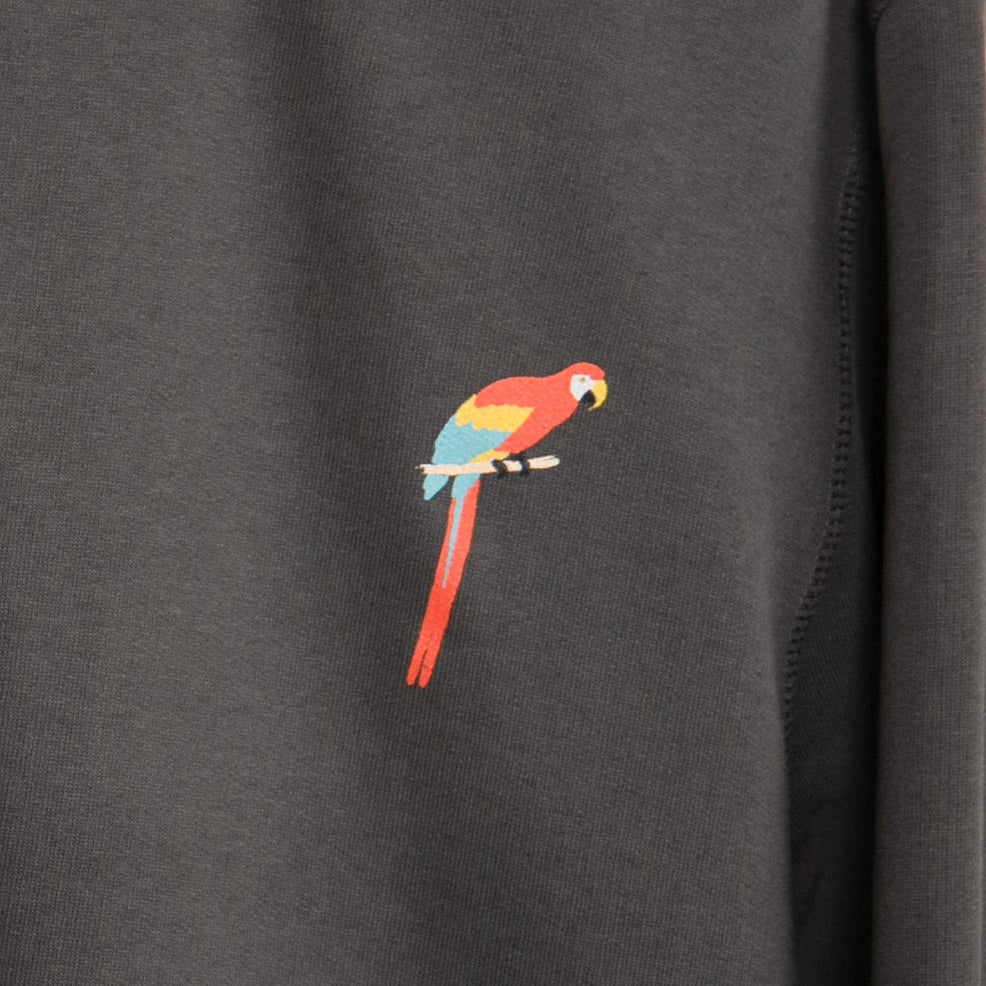 Parrot Sweatshirt Lite