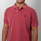 Polo Rabbit