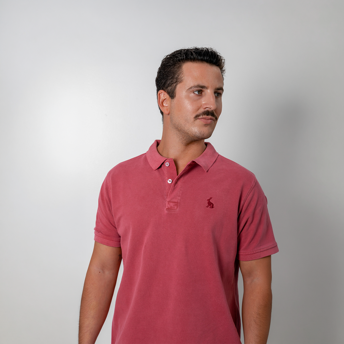 Polo Rabbit