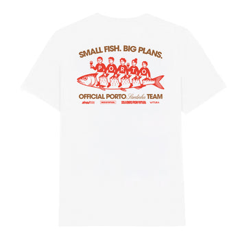 Small Fish Big Plans