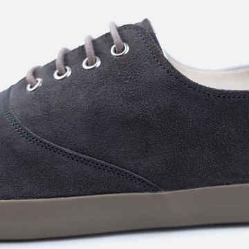 Oris Plumbea