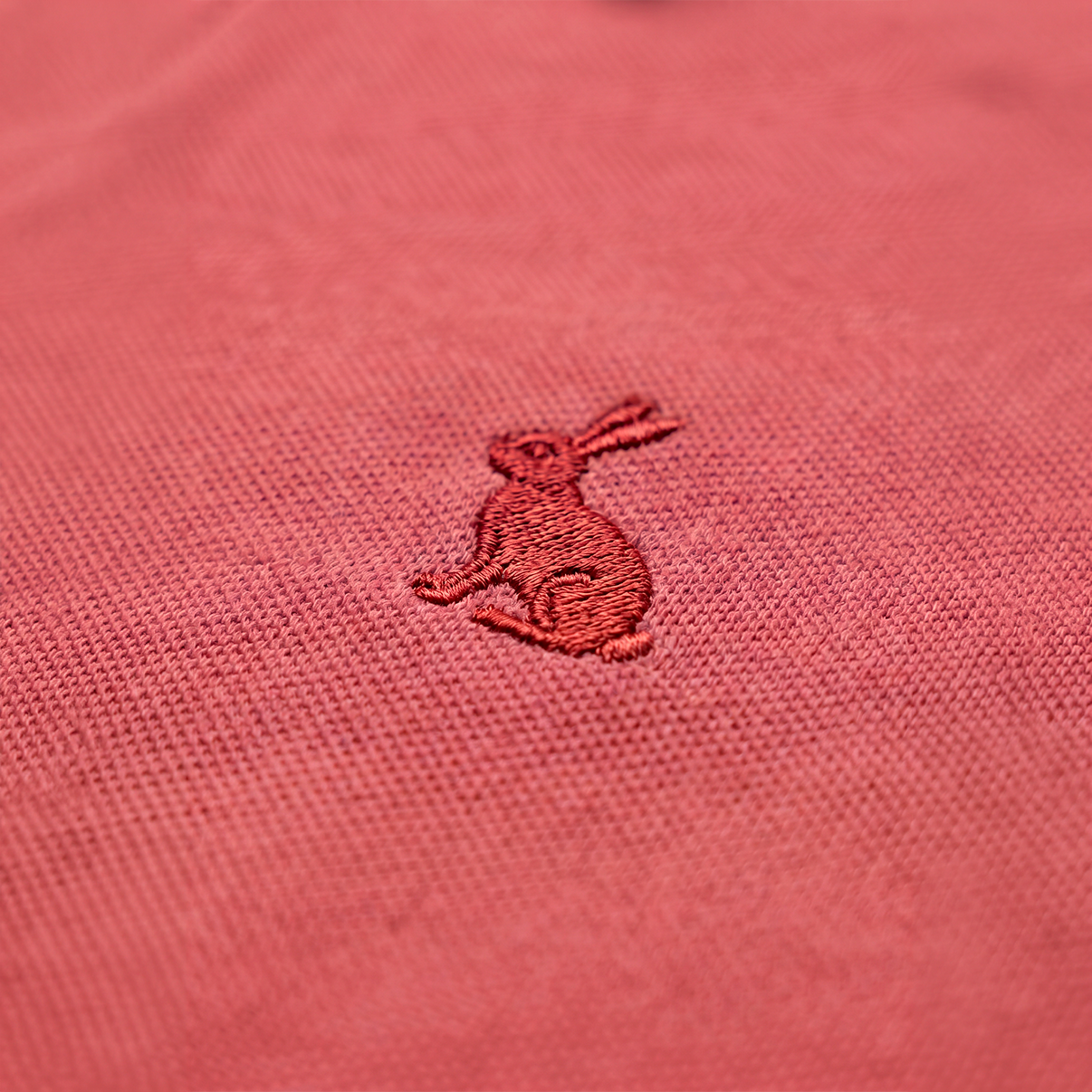 Polo Rabbit
