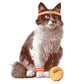 Cat Tennis