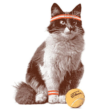 Cat Tennis Kids