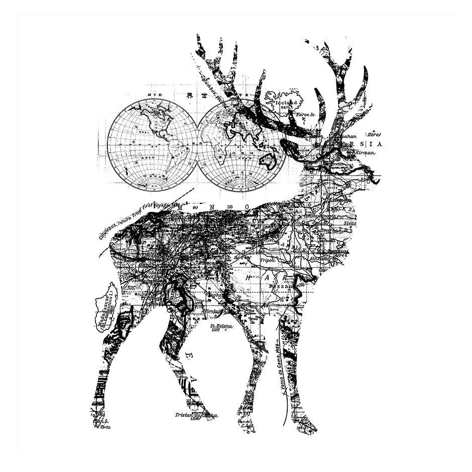 Deer Wanderlust - Wituka