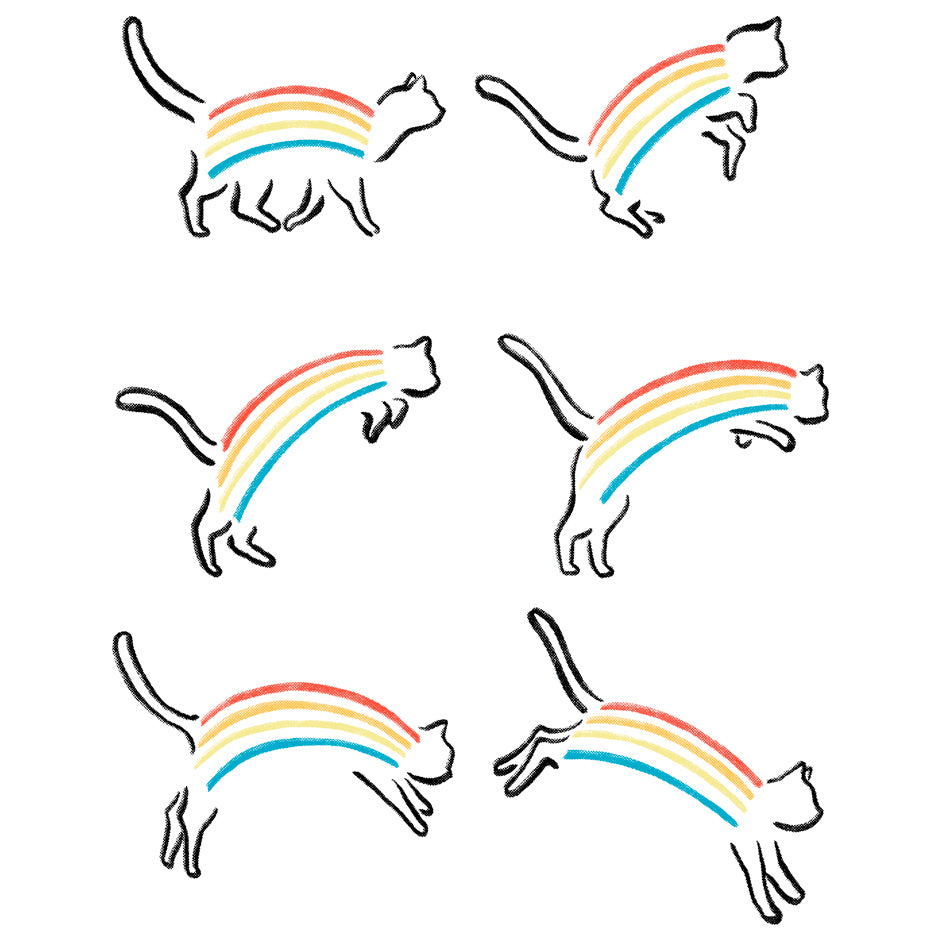 Rainbow Cat - Wituka