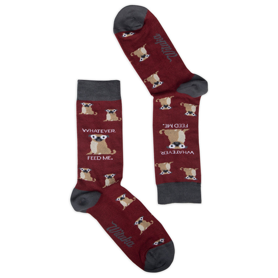 Socks Pugly Truth
