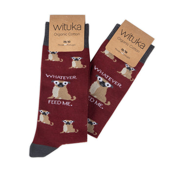 Socks Pugly Truth
