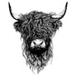 Highland Cattle - Wituka