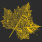 Leaf City Kids - Wituka