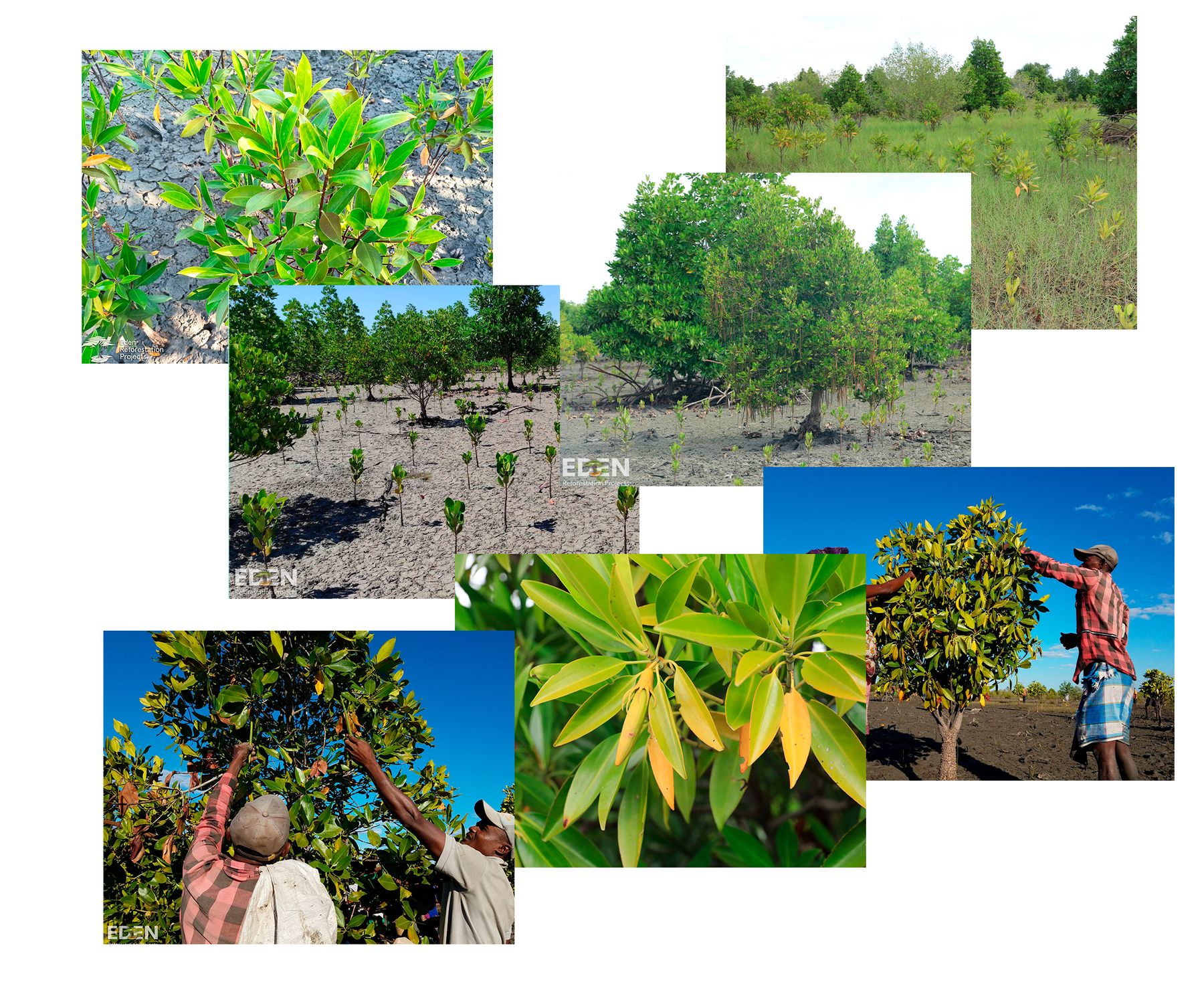 Fotos: Eden: People + Planet, Madagascar